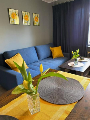 Apartament Asspazja, Stronie Slaskie